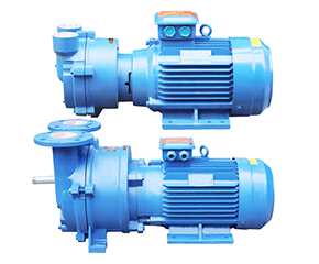 2BV水環真空(kōng)泵 直連式防(fang)爆真空泵