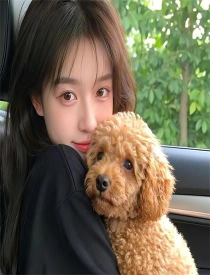 无删减版：好血统：专业人士推荐与评分解读